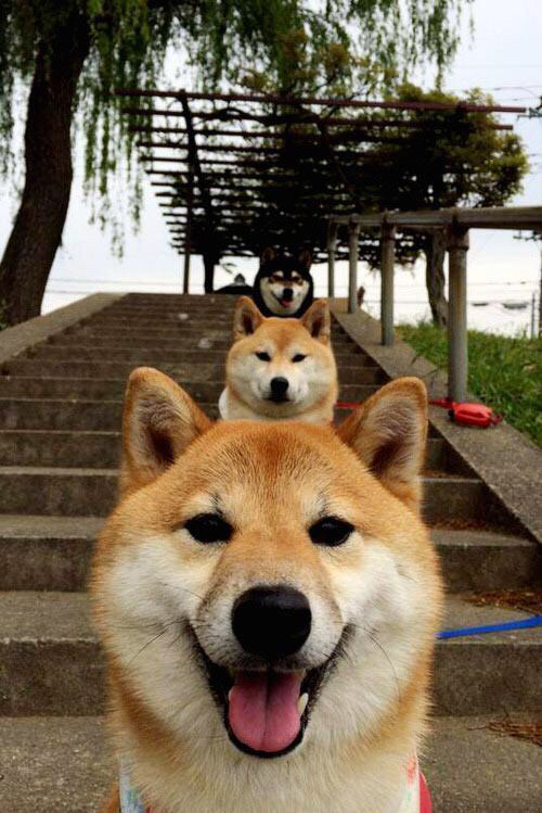 开云体育官方入口-恩佐·费尔南德斯因争议视频向切尔西队友道歉，恩菲尔德足球俱乐部